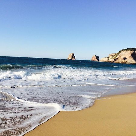 Luxury Apartment With Sea View In Hendaye Dış mekan fotoğraf